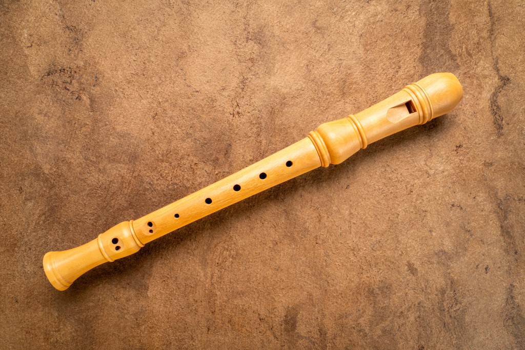 Recorder Lessons (Intermediate)