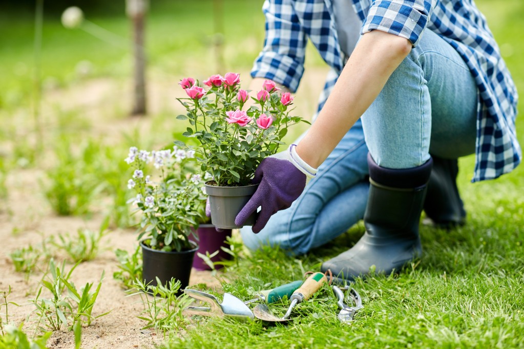 Adapting Your Garden to Changing Climate