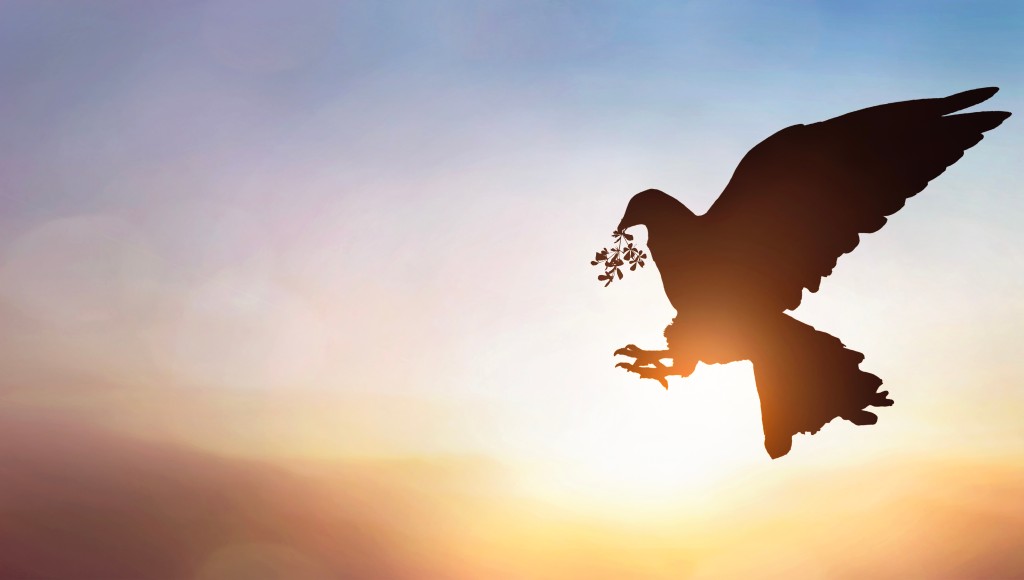 Reclaiming Your Peace