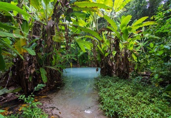 Botanical Gardens of the Piedmont Garden Tour!
