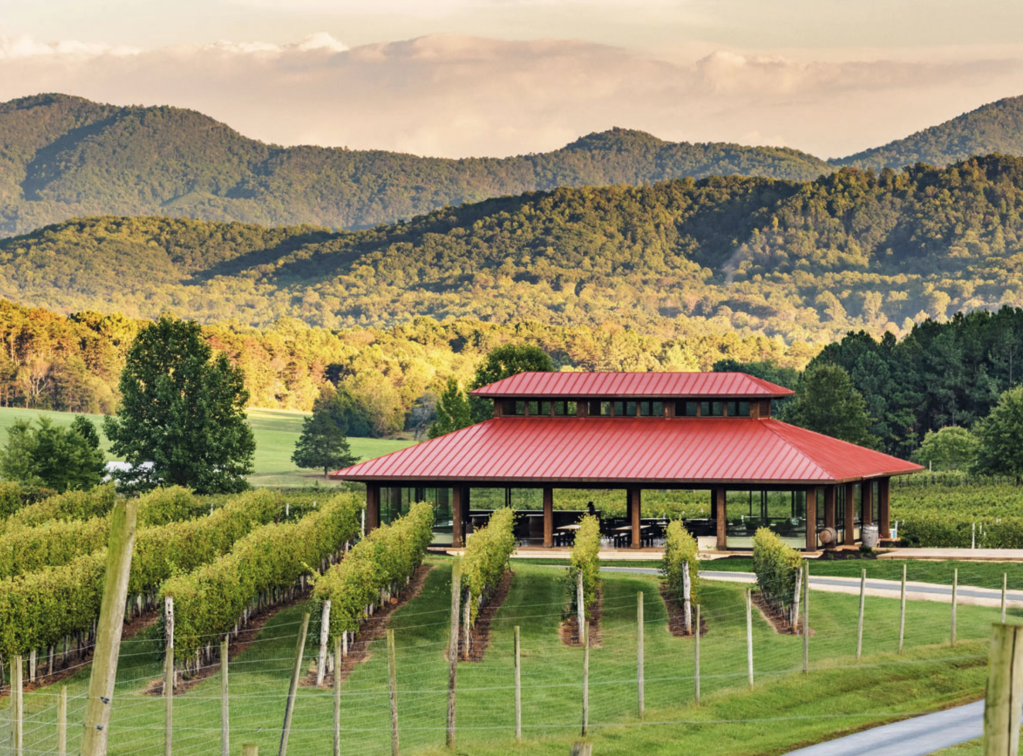 Wine Tour and Tasting - Afton, VA