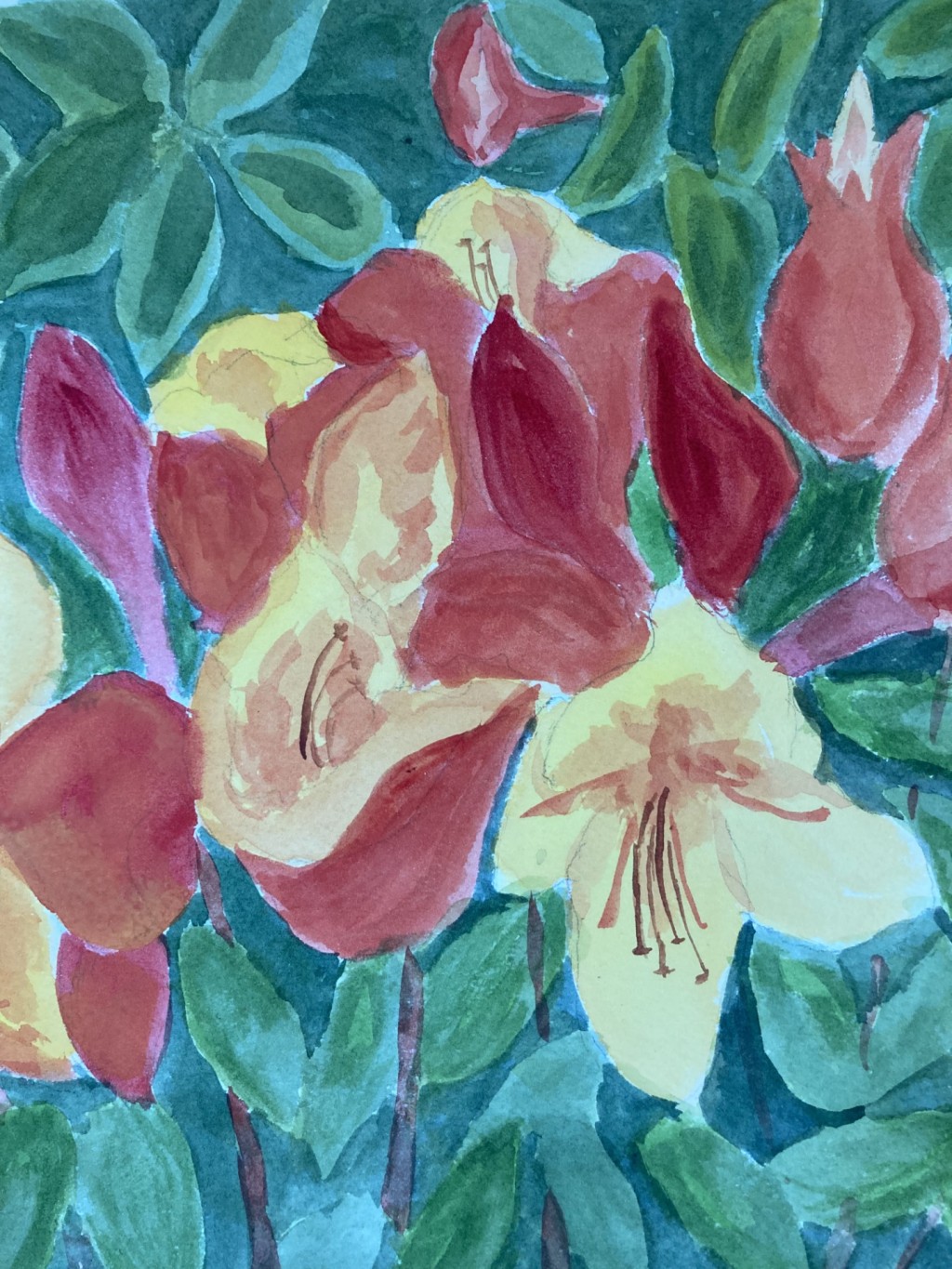 Beginning Watercolor