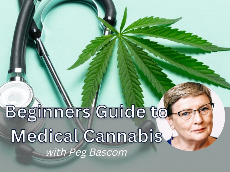 A Beginners Guide To Medical Cannabis
