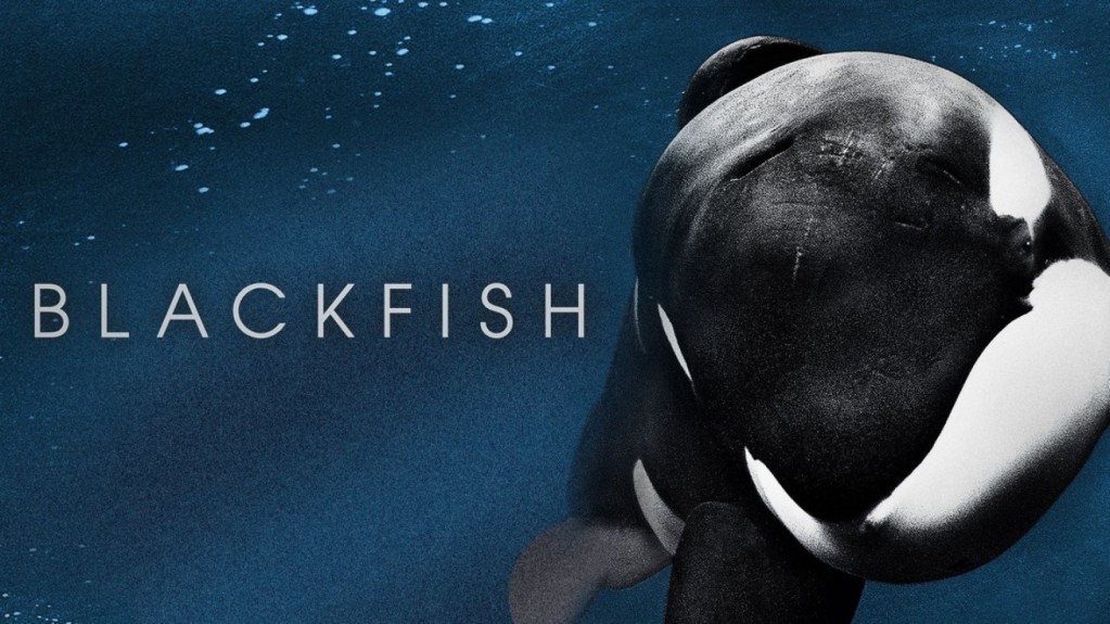 Wednesday Movie Night - Blackfish