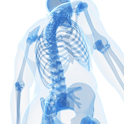 Building Better Bones