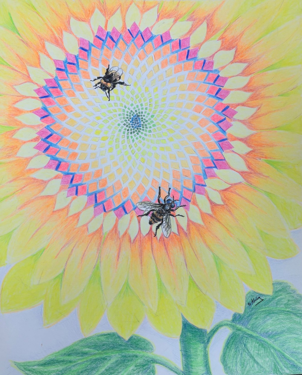 Geometric Drawing