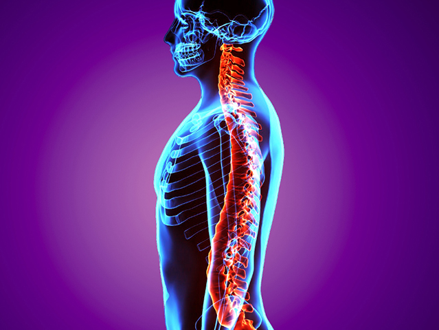 Benefits of Postural Alignment: the Egoscue Method
