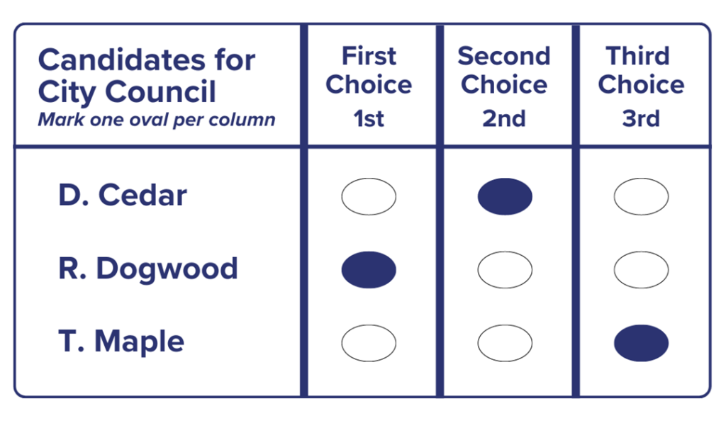 Ranked Choice Voting Evening