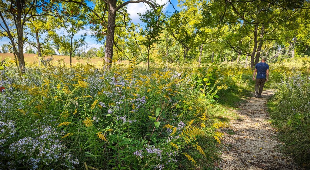 Soft Landings: Add Life Under Trees