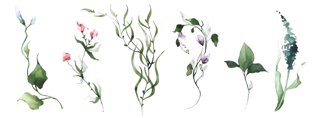 Botanical Watercolor Painting