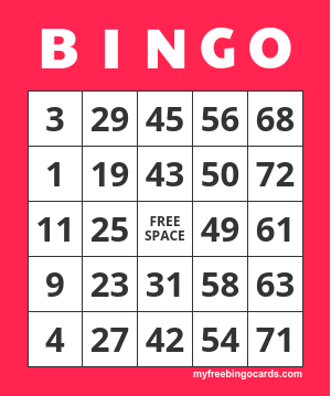 Beer and Bingo - January 2025