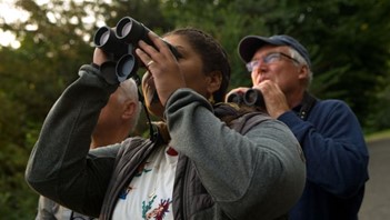 Birding  (Onsite and Offsite)