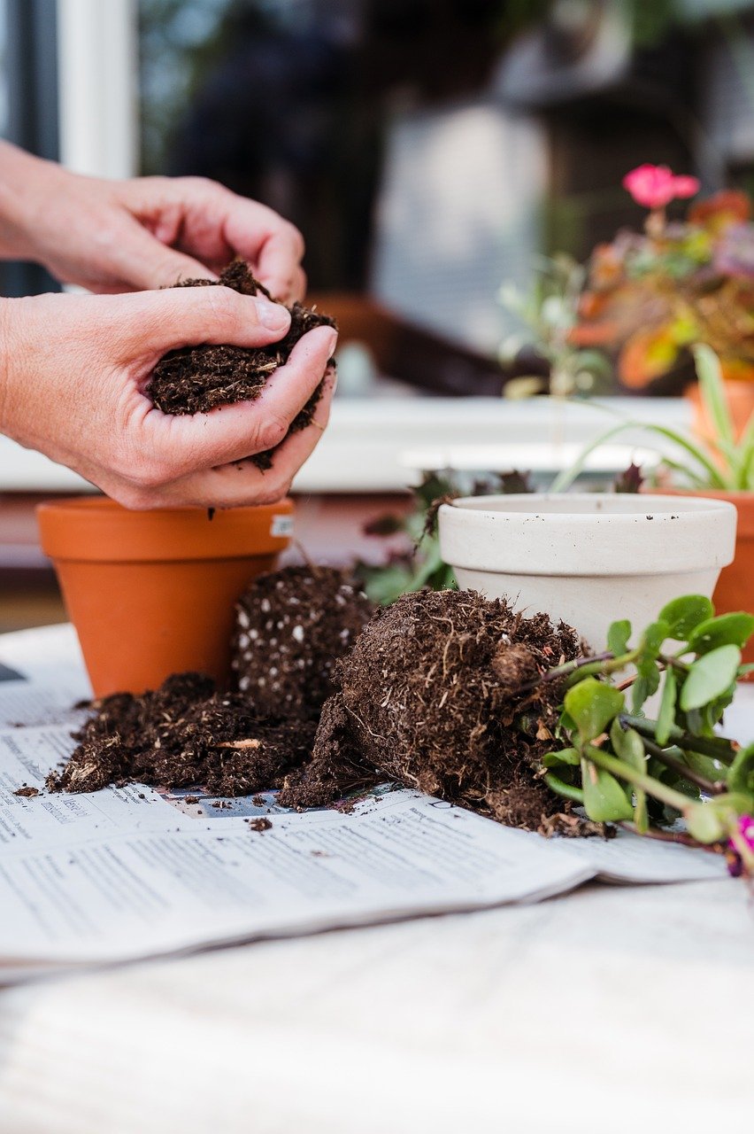 The Health Benefits of Gardening