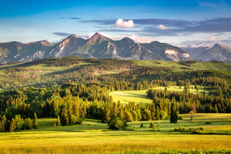 A Wonderful Adventure Series